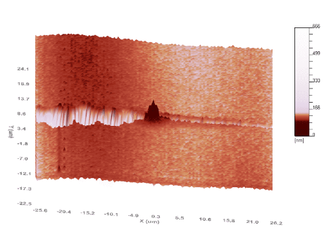 1709021624999818.png 9.png